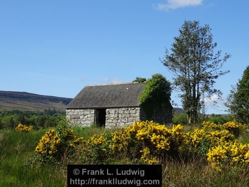 Spring in Glenfarne